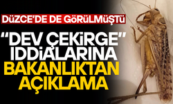 BAKANLIK DUYURDU: ÇEKİRGE İSTİLASI SÖZ KONUSU DEĞİL