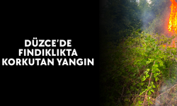 MUHTARIN ERKEN MÜDAHALESİ FACİAYI ÖNLEDİ