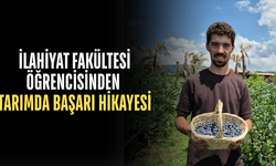 FINDIĞA ALTERNATİF ARARKEN ÜRETİMİ KATLADI