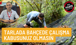 HATALI ÇALIŞMA UZUN SÜRELİ VE SANCILI RAHATSIZLIKLARA KAPI AÇIYOR