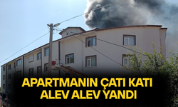 YANGIN UZUN UĞRAŞLAR NETİCESİNDE SÖNDÜRÜLDÜ