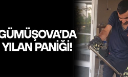 EVE GİREN YILAN İTFAİYE EKİPLERİNCE YAKALANDI