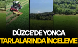 KALİTELİ KABA YEM İÇİN YONCA ÜRETİMİNE DESTEK