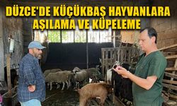 ÇALIŞMALARLA HAYVAN HASTALIKLARI ÖNLENİYOR