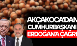 AFİKO BAŞKANI UZUN: FINDIK FİYATI 280 TL OLARAK REVİZE EDİLMELİ