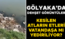 AT KEMİKLERİNİ DERE YATAĞINA BIRAKTILAR