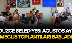 HİZMET ARAÇLARI ALINACAK