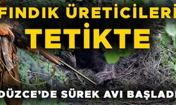 FINDIK BAHÇELERİNDE ZORLU NÖBET…