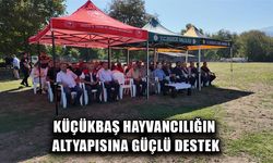 DÜZCE’DE YAKLAŞIK 20 BİN KÜÇÜKBAŞ HAYVAN BULUNUYOR