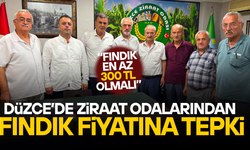 ZİRAAT ODALARI BAKANLIĞA SESLENDİ: FINDIK FİYATI YENİDEN DEĞERLENDİRİLSİN