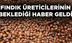 TARIM VE ORMAN BAKANLIĞI FINDIK FİYATLARINI AÇIKLADI
