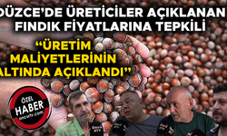 "OLAN YİNE FINDIK ÜRETİCİSİNE OLDU"