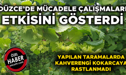 FINDIK ÜRETİCİLERİNE “ÜRÜNÜNÜZÜ ERKEN TOPLAMAYIN” UYARISI