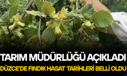 “ERKEN HASAT, RANDIMAN VE KALİTE KAYBINA NEDEN OLUR”