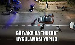 EKİPLER, DEDEKTÖR KÖPEKLE ARAMA YAPTI