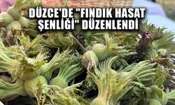 MAKAS: “FINDIK BİZİM VAZGEÇİLMEZİMİZ”