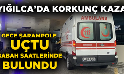 OTOMOBİL SÜRÜCÜSÜ AĞIR YARALANDI