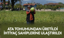 GÖNÜL KÖPRÜSÜ TARLADAN SOFRAYA UZANDI