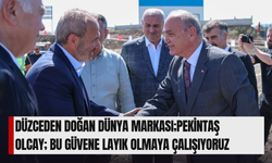 ÖZLÜ'DEN PEKİNTAŞI DESTEKLEYEN TESPİTLER
