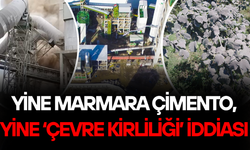 FABRİKA BACASINDAN SALINAN TOZLAR FINDIK BAHÇELERİNİ KAPLADI