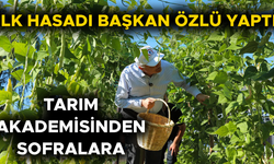 TARIM AKADEMİSİNDE YETİŞİYOR, İHTİYAÇ SAHİPLERİNE ULAŞIYOR