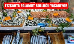 TANE FİYATI 80 TL İLE VATANDAŞIN İLGİSİNİ ÇEKİYOR