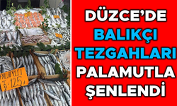 FİYATLARI İSE BALIK SEVERLERİN YÜZÜNÜ GÜLDÜRÜYOR