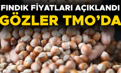 FINDIK ALIMI İÇİN O TARİHTEN İTİBAREN RANDEVU ALINABİLECEK