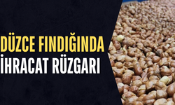 AB'YE 7 AYDA 6 BİN 674 TON ÎÇ FINDIK SATIŞI