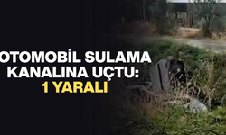 ARAÇ ÇEKİCİ YARDIMIYLA KANALDAN ÇIKARILDI