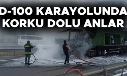 SEYİR HALİNDEKİ TIR ALEV TOPUNA DÖNDÜ