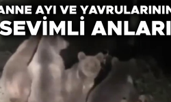 DÜZCE’DE AYI AİLESİ CEP TELEFONU İLE GÖRÜNTÜLENDİ