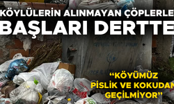 “KOSKOCA KÖYDE 3 TANE ÇÖP KONTEYNIRI VAR”