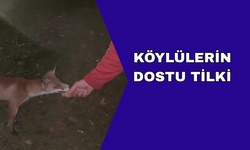KEK İKRAMINI GERİ ÇEVİRMEDİ