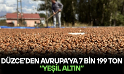 FINDIK İHRACATINDA AVRUPA BEREKETİ