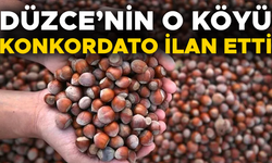 ÜRETİCİLER FINDIK FİYATLARINA BÖYLE TEPKİ GÖSTERDİ