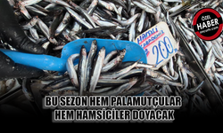 BALIK FİYATLARINI ZAMLAR DEĞİL DENİZDEN ÇIKIŞI BELİRLİYOR