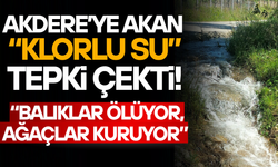 VATANDAŞ İSYAN ETTİ: “BU SUYA YAZIK”