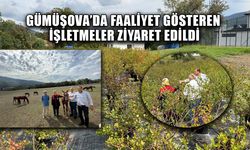 KIRSAL EKONOMİ GÜÇLENDİRİLECEK