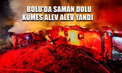 YANGIN ÇEVREDEKİ ALANLARA SIÇRAMADAN KONTROL ALTINA ALINDI
