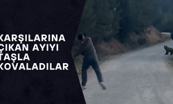AYI ORMANLIK ALANDA GÖZLERDEN UZAKLAŞTI