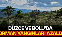 ZARAR GÖREN ALANLARIN 1553 HEKTARI AĞAÇLANDIRILDI
