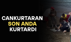 PLAJDA KISA SÜRELİ PANİĞE NEDEN OLDU