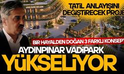 DÜZCE’DE DOĞANIN KALBİNDE YÜKSELEN YENİ YAŞAM ALANI : AYDINPINAR VADİPARK