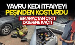 DÜZCE İTFAİYESİ YAVRU KEDİNİN PEŞİNDE SEFERBER OLDU