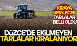 DÜZCE’DE TARIM ARAZİLERİ KİRAYA VERİLECEK