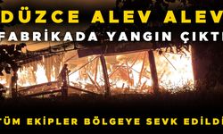 FABRİKANIN RUHSATSIZ ÇALIŞTIĞI İDDİASI VAR