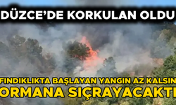 TÜM EKİPLER SEFERBER EDİLDİ…