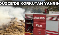 BESİ ÇİFTLİĞİ ALEVLERE TESLİM OLDU