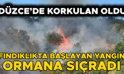 TÜM EKİPLER SEFERBER EDİLDİ…